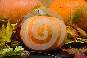 October nature concept with pumpkins, walnuts and autumn leaves