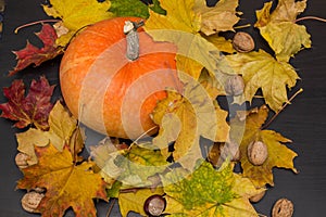 October nature concept with pumpkins, walnuts and autumn leaves