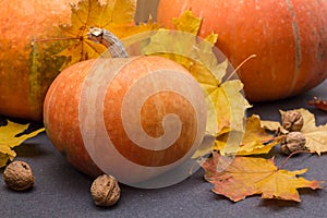 October nature concept with pumpkins, walnuts and autumn leaves