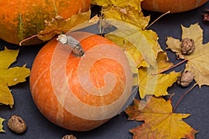 October nature concept with pumpkins, walnuts and autumn leaves