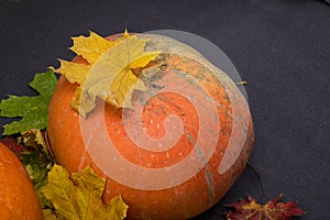 October nature concept with pumpkins, walnuts and autumn leaves