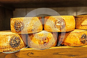 Typical Pecorino cheese for sale in local market