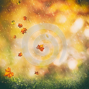 October rain, beauty autumnal backgrounds