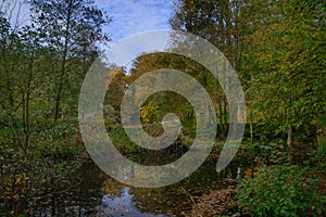 October in Sonian forest