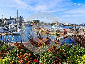 Inner Harbor of Victoria BC in the early fall