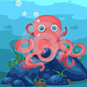 Octopus