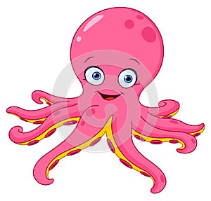 Octopus