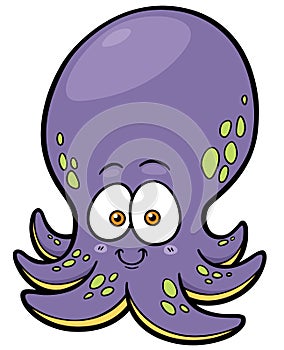 Octopus