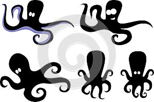 Octopus