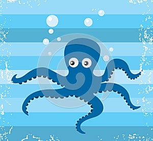 Octopus