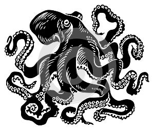 Pulpo 