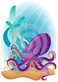 Octopus