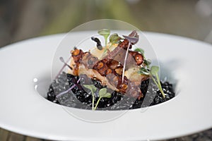 Octopus with black rice and herbs