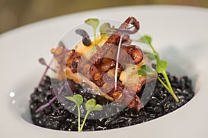 Octopus with black rice and herbs