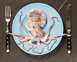 Octopus on blue plate holds cutlery