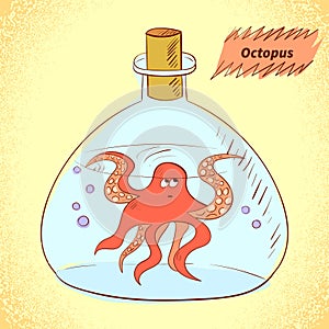 Octopus in the bottle.