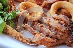 Octopus and calamaris