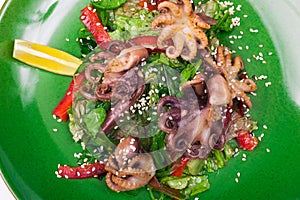 Octopus and chuka salad