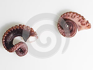 Octopus close-up on white background.Cooking seafood cuisine