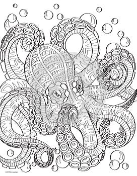 Octopus Coloring Book Page photo