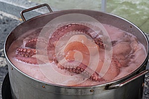 Octopus cooked in the pot, traditional recipe of pulpo a feira. Galicia, Spain. photo