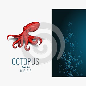 Octopus in deep. Vector color illustration on gradient background with decorative element.