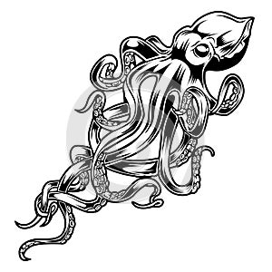 Chobotnice kreslenie kreslenie čierny 