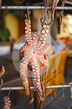 Octopus drying in Crete, Greece