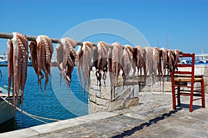 Octopus drying in greece naxos island