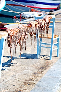 octopus drying in the sun europe greece