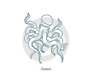 Octopus eight-limbed molluscs of the order Octopoda. Open paths. Editable stroke. Custom line thickness.