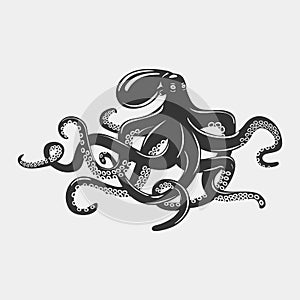 Octopus with feeding tentacles and wavy arms with suction cups on it. Camouflaging cuttlefish and swimming mollusk