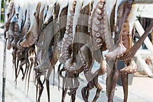 Octopus on a fishing market
