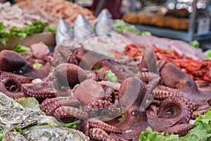 Octopus on food market Ballaro in Palermo