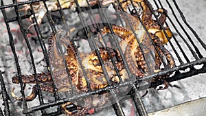 Octopus Grill Seafood 4k