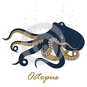 Octopus hand drawing vector illustration on white backgroud.