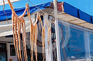 Octopus hanging to dry on a rope by restaurant