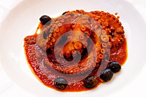 Octopus with hot chili souse photo