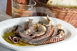 Octopus house wine Greek taverna specialty