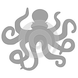 Octopus icon