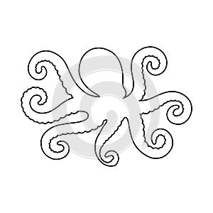 Octopus icon vector. seafood illustration sign collection. Ocean symbol or logo.