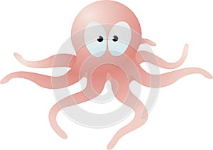 Octopus illustration
