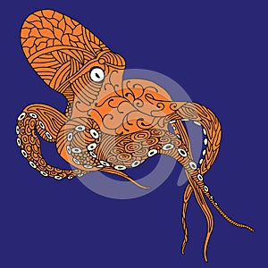 Octopus illustration
