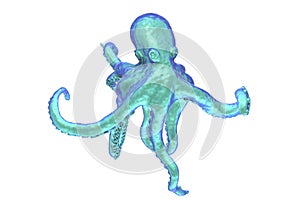 Octopus isolated on white