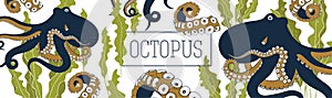 Octopus and kelp banner vector template. Hand drawn illustration on white background.