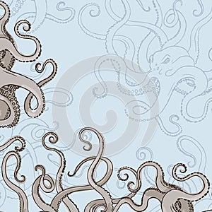 Octopus Kraken card or border with feelers