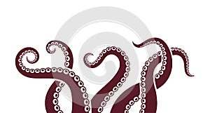 Octopus logo. Isolated octopus on white background