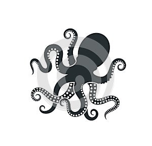 Octopus logo. Isolated octopus on white background