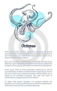 Octopus Marine Creature Poster in Sketch Style