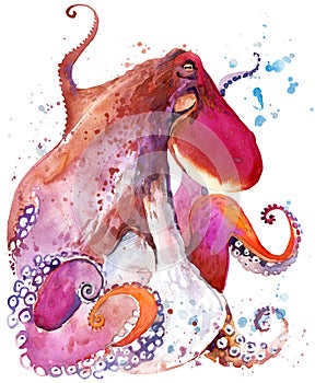 Octopus. Octopus watercolor illustration. Underwater word